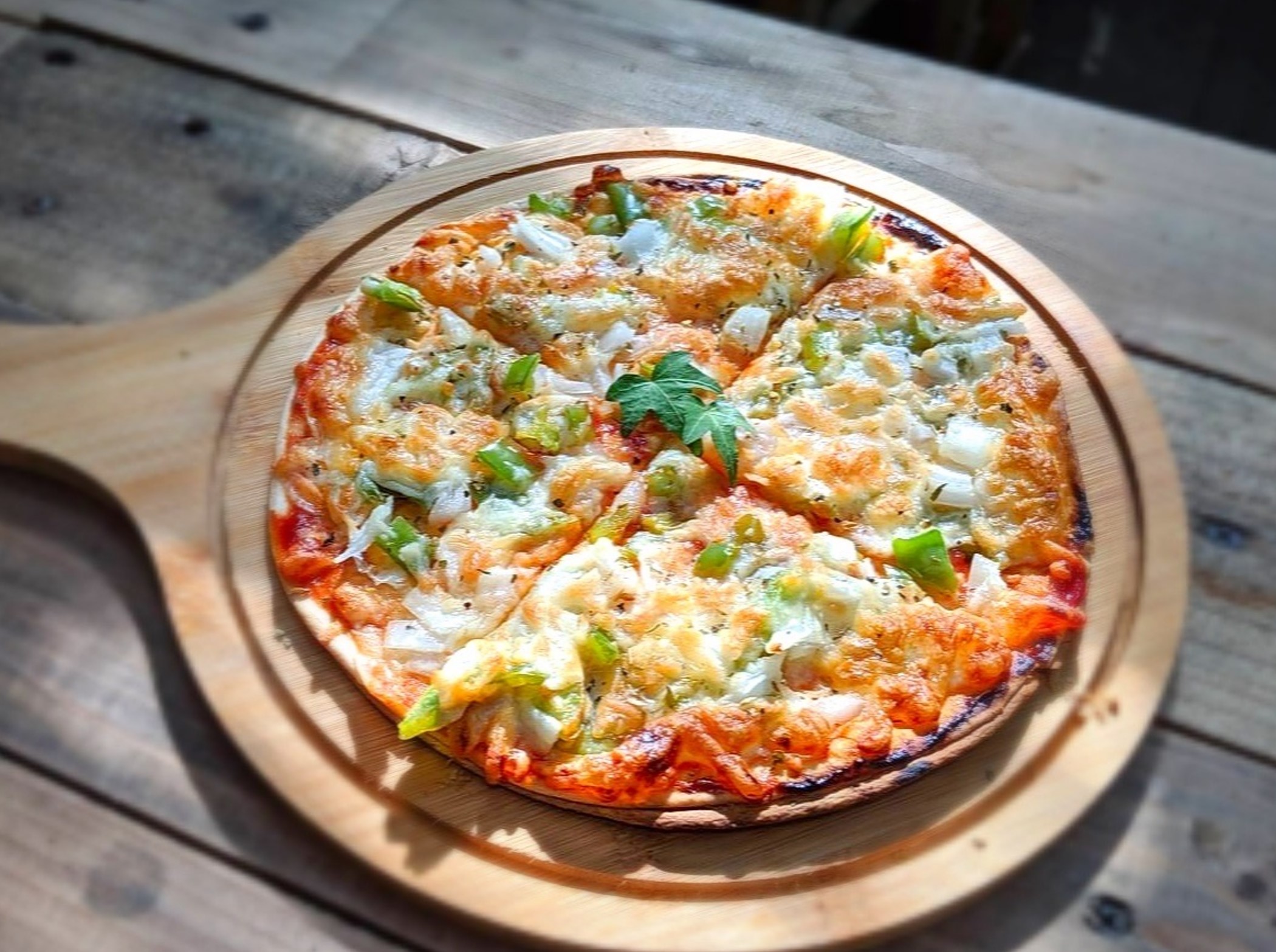 懶人小舖-植栽DIY課程｜盆栽販售 推薦