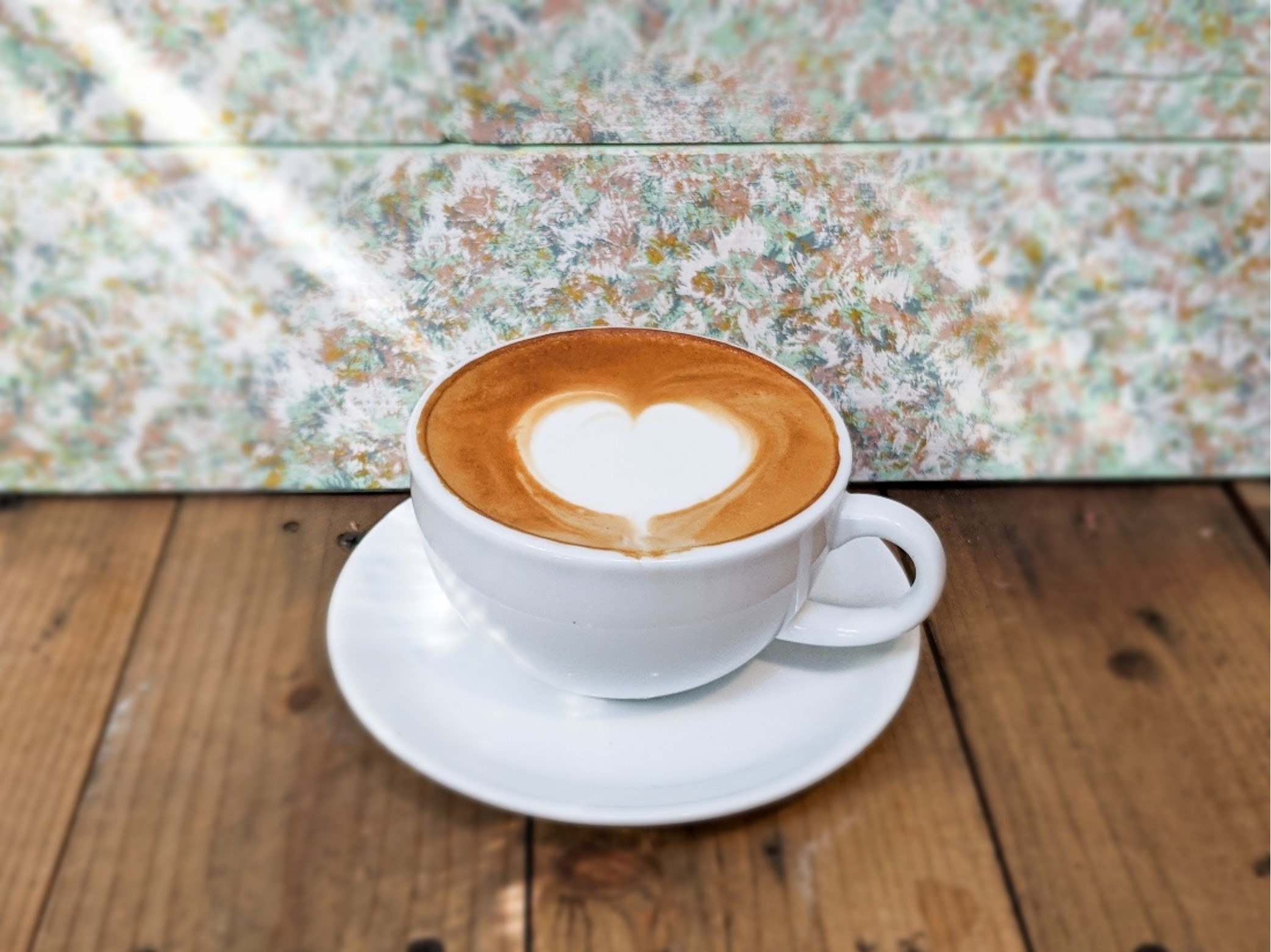 懶人小舖-植栽DIY課程｜盆栽販售 推薦