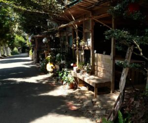 懶人小舖-彰化 員林 藤山步道 咖啡廳｜藤山步道美食｜